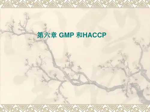 第六GMP和HACCP-精品课件