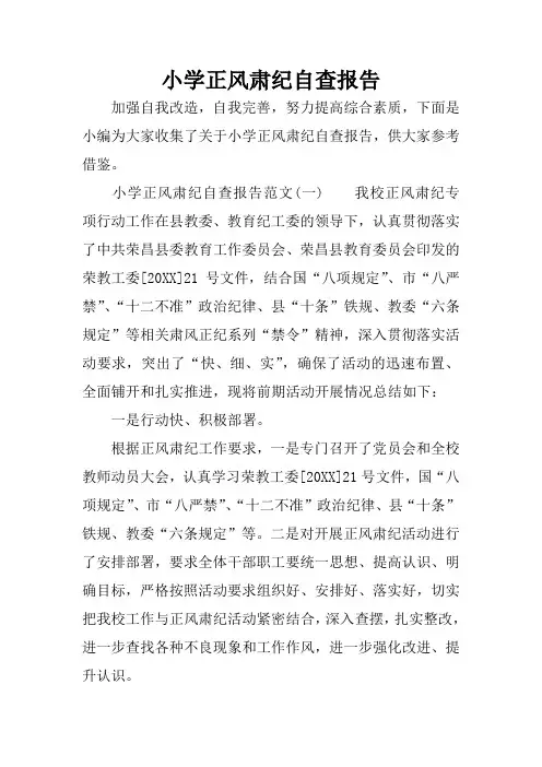 小学正风肃纪自查报告