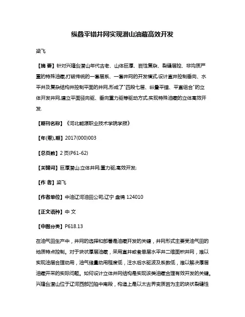 纵叠平错井网实现潜山油藏高效开发