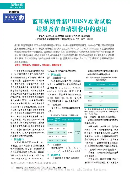蓝耳病阴性猪PRRSV攻毒试验结果及在血清驯化中的应用