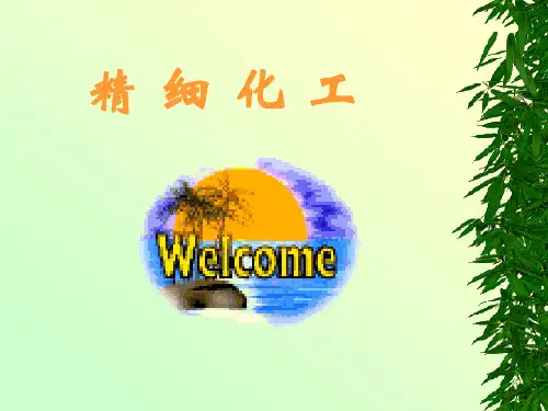 《精细化工》PPT课件