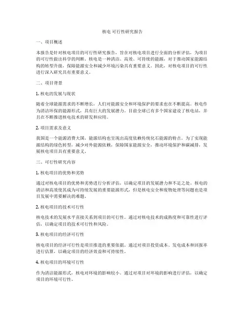 核电 可行性研究报告