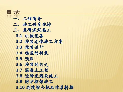 挂篮施工专项方案汇报