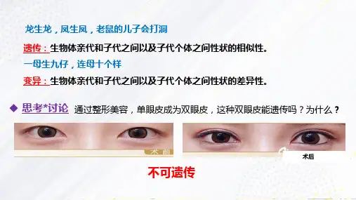 基因突变与基因重组-高一生物课件(人教版2019必修2)