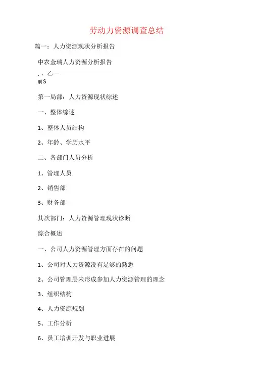 劳动力资源调查总结