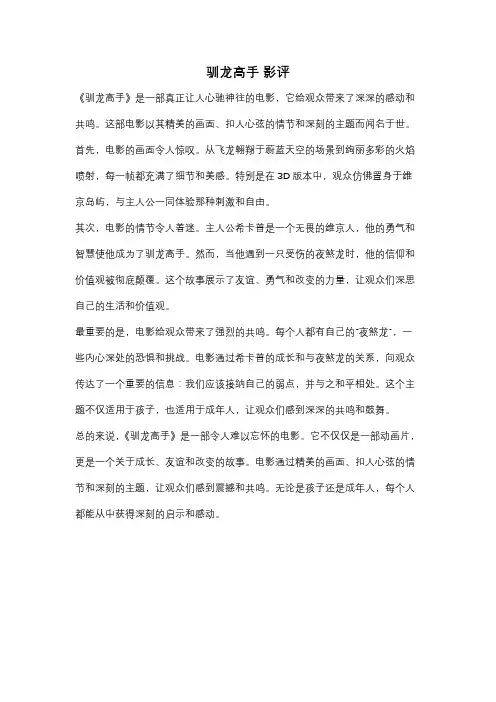 驯龙高手 影评