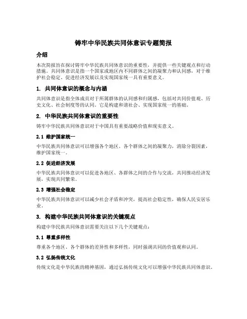 铸牢中华民族共同体意识专题简报