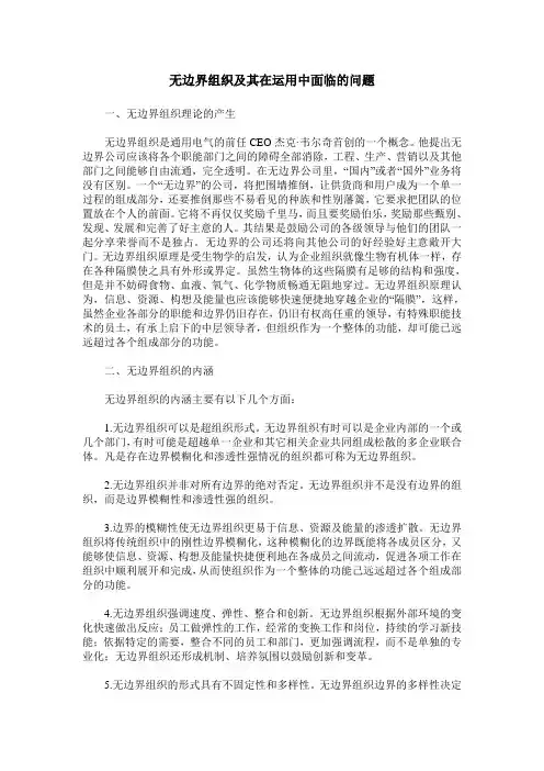 无边界组织及其在运用中面临的问题