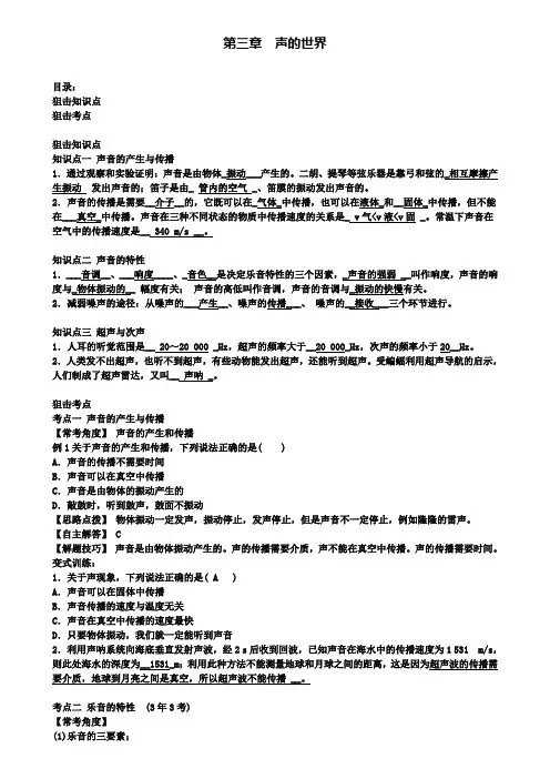 中考物理总复习考点第三章声的世界