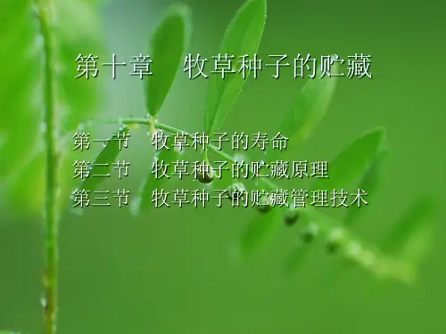 牧草种子的贮藏PPT教学课件