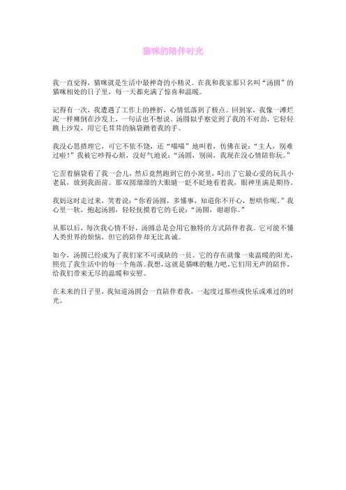 猫咪的陪伴时光