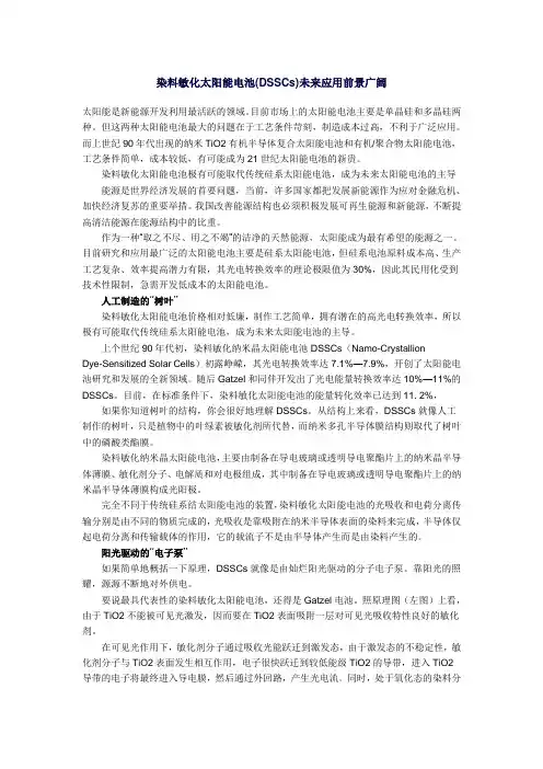 染料敏化太阳能电池前景