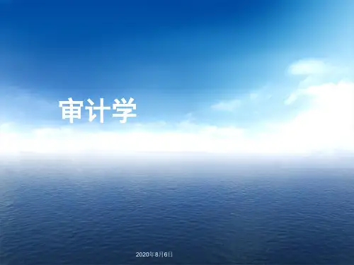 内部审计-审计概述PPT 精品