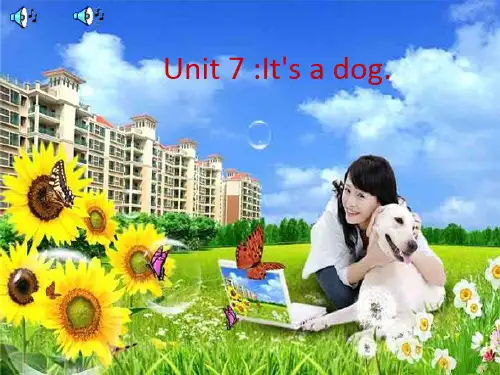 湘少版三年级英语Unit7__It's_a_dogPPT课件