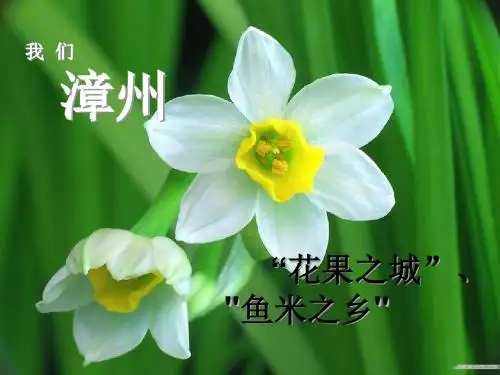 漳州美食