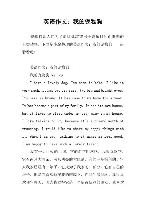 英语作文：我的宠物狗