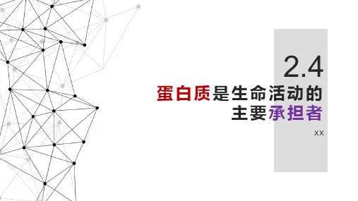 《蛋白质》上课课件高中化学 人教版1