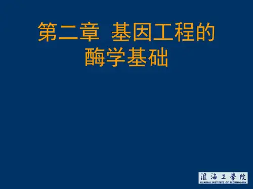 基因工程第2章 酶学基础(2DNA连接酶)