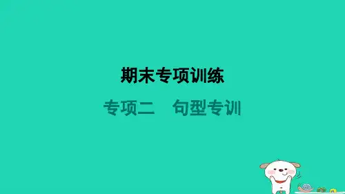2024八年级英语下册专项二句型专训课件新版人教新目标版