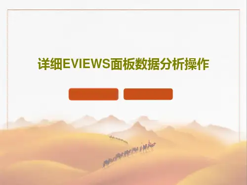 详细EVIEWS面板数据分析操作37页PPT