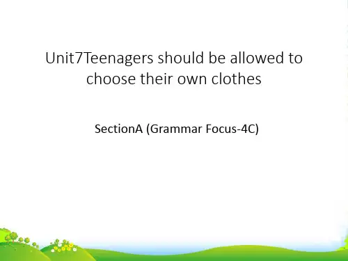 人教英语九年级 Unit7Section A Grammar focus - 4c(共16张PPT)
