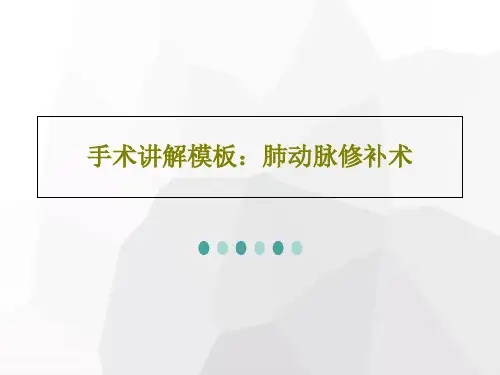 手术讲解模板：肺动脉修补术共19页文档