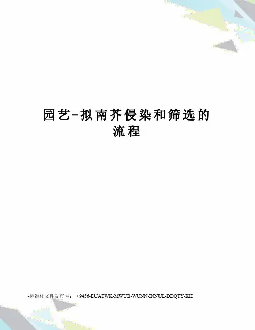 园艺-拟南芥侵染和筛选的流程