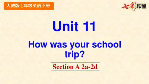 新PEP人教版七年级下册英语Unit 11 Section A 2a-2d