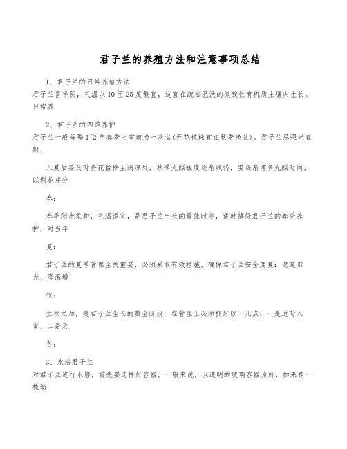 君子兰的养殖方法和注意事项总结