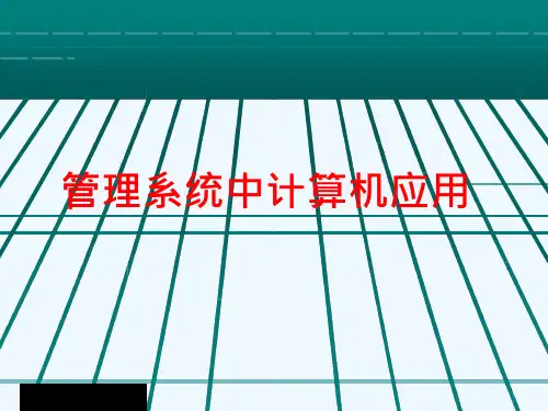 管理系统中计算机应用ppt课件