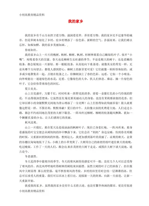 九年级语文《我的家乡1》作文点评