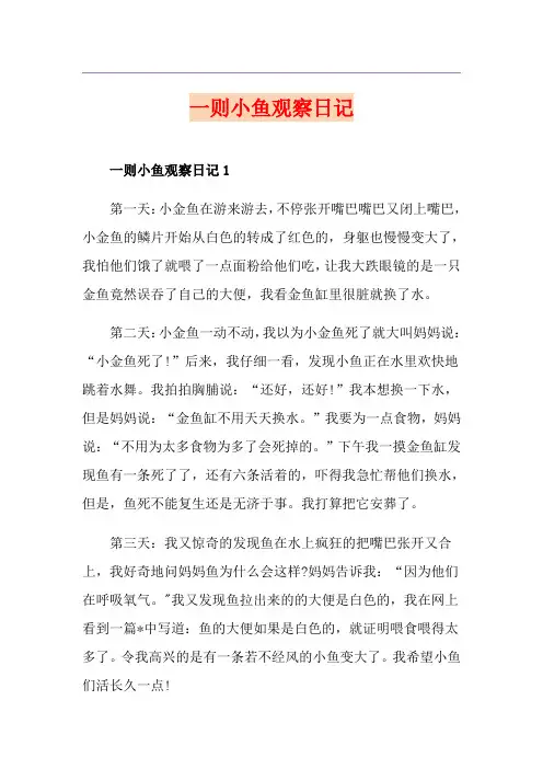 一则小鱼观察日记