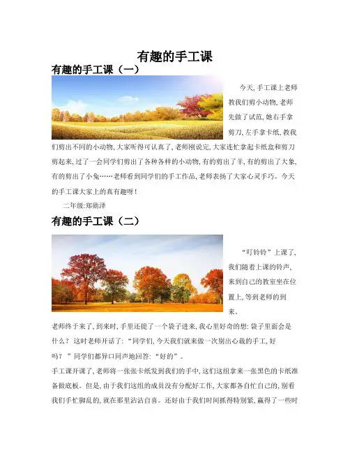 有趣的手工课(共10篇)