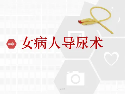 女病人导尿术  ppt课件
