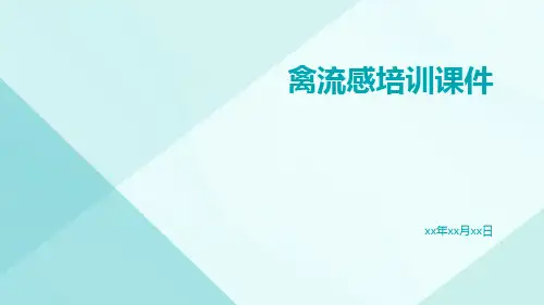 禽流感培训课件