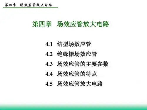 第四章场效应管放大电路2