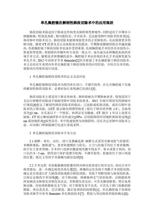 单孔胸腔镜在解剖性肺段切除术中的应用现状