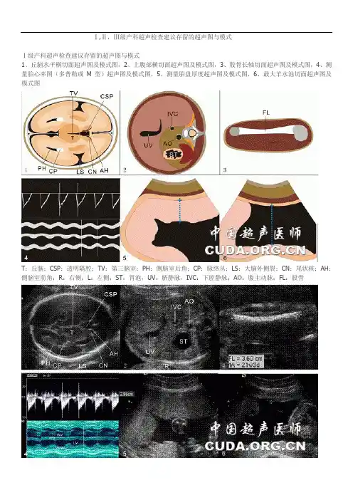 Ⅰ,Ⅱ,Ⅲ级产科超声检查建议存留的超声图与模式图