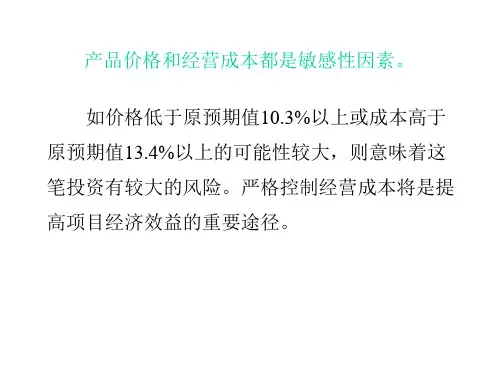 技术经济学项目可行性研究