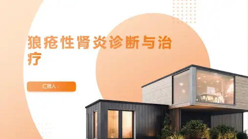 狼疮性肾炎诊断与治疗PPT