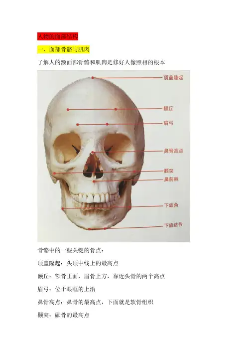 后期理论课程：人物面部结构
