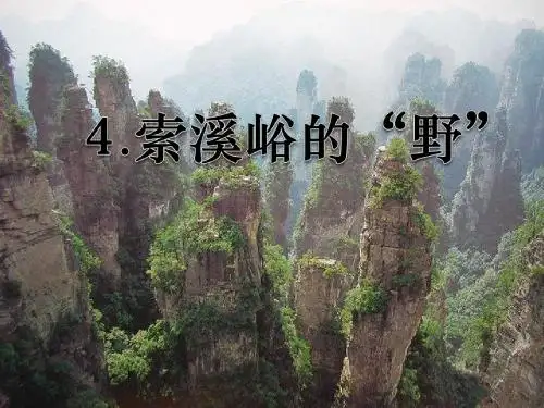 《索溪峪的“野”》PPT课件下载9