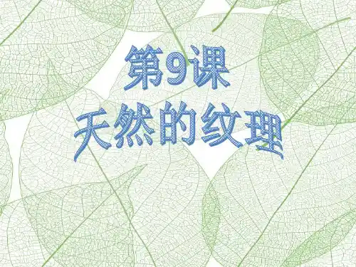 三年级上册美术课件-第9课 天然的纹理 ▏人教课标版 (共21张PPT)