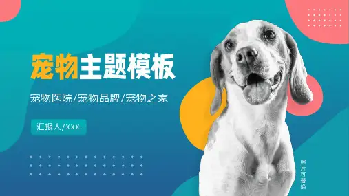 清新可爱宠物店品牌商业计划书PPT模板