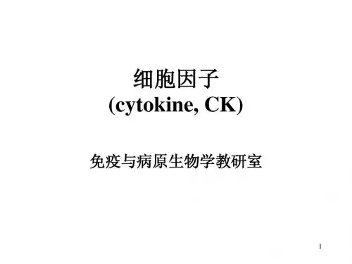 6.细胞因子