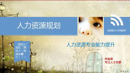 人力资源专业能力提升教材(PPT 37页)
