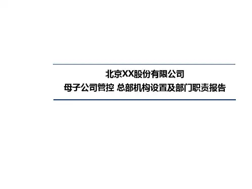 北京股份管控及组织结构设计报告