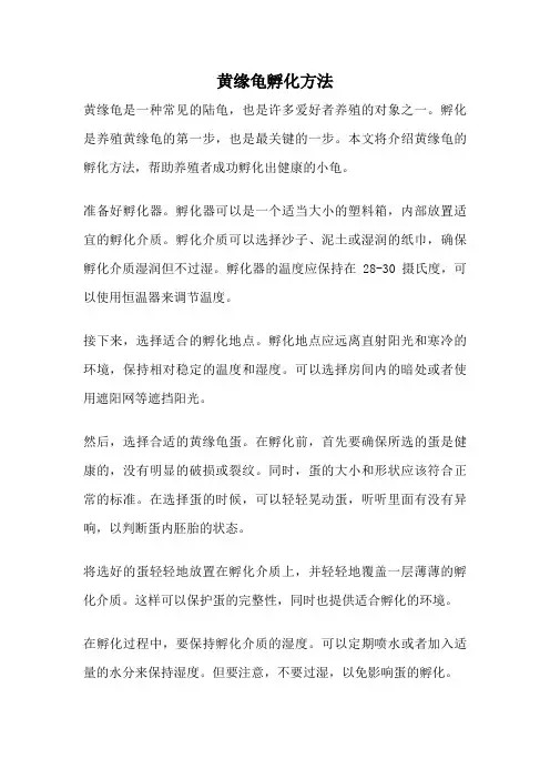黄缘龟孵化方法