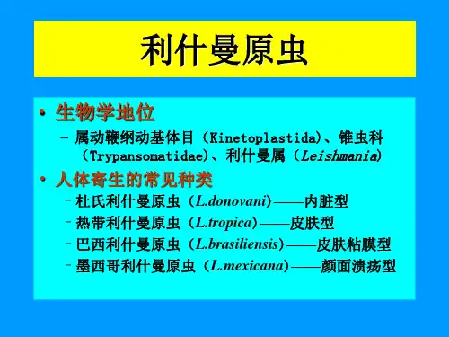 杜氏利什曼原虫