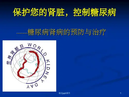 《糖尿病肾病的治疗》PPT课件